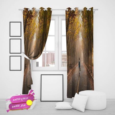 برداي الحائر 